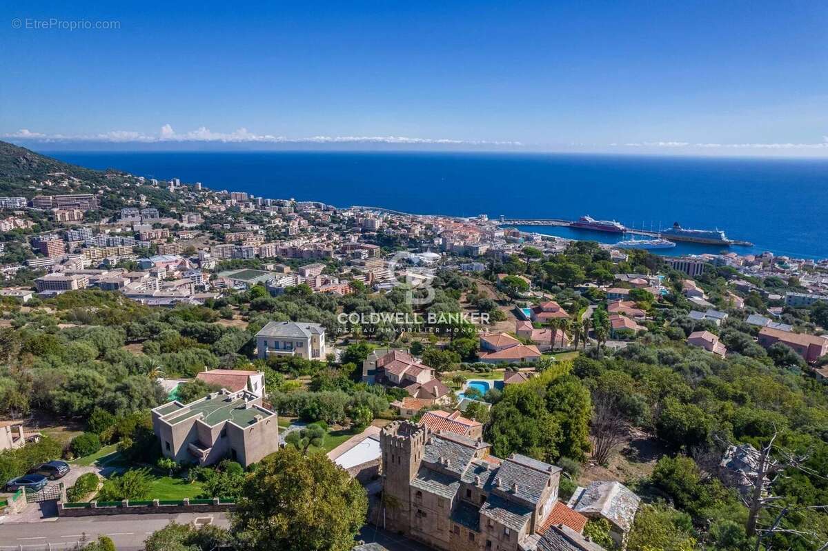 Terrain à SAN-MARTINO-DI-LOTA