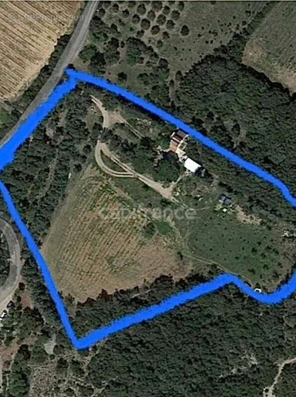 Terrain 16 200 m² + Maison autonome – Gigean – Vue imprenable – Calme absolu - photo 9