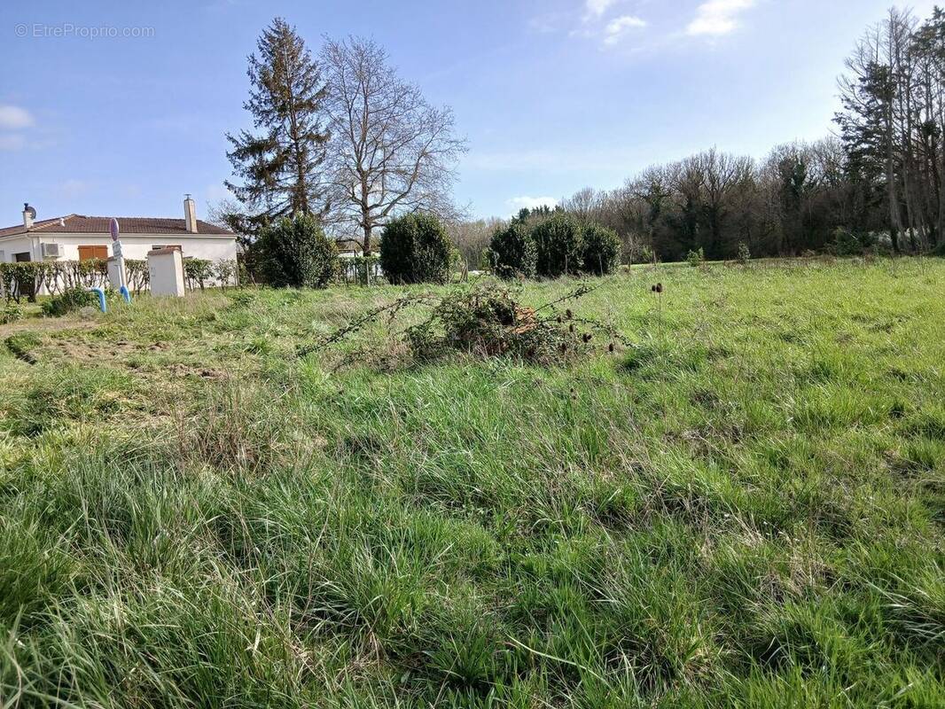 Terrain à MEDIS