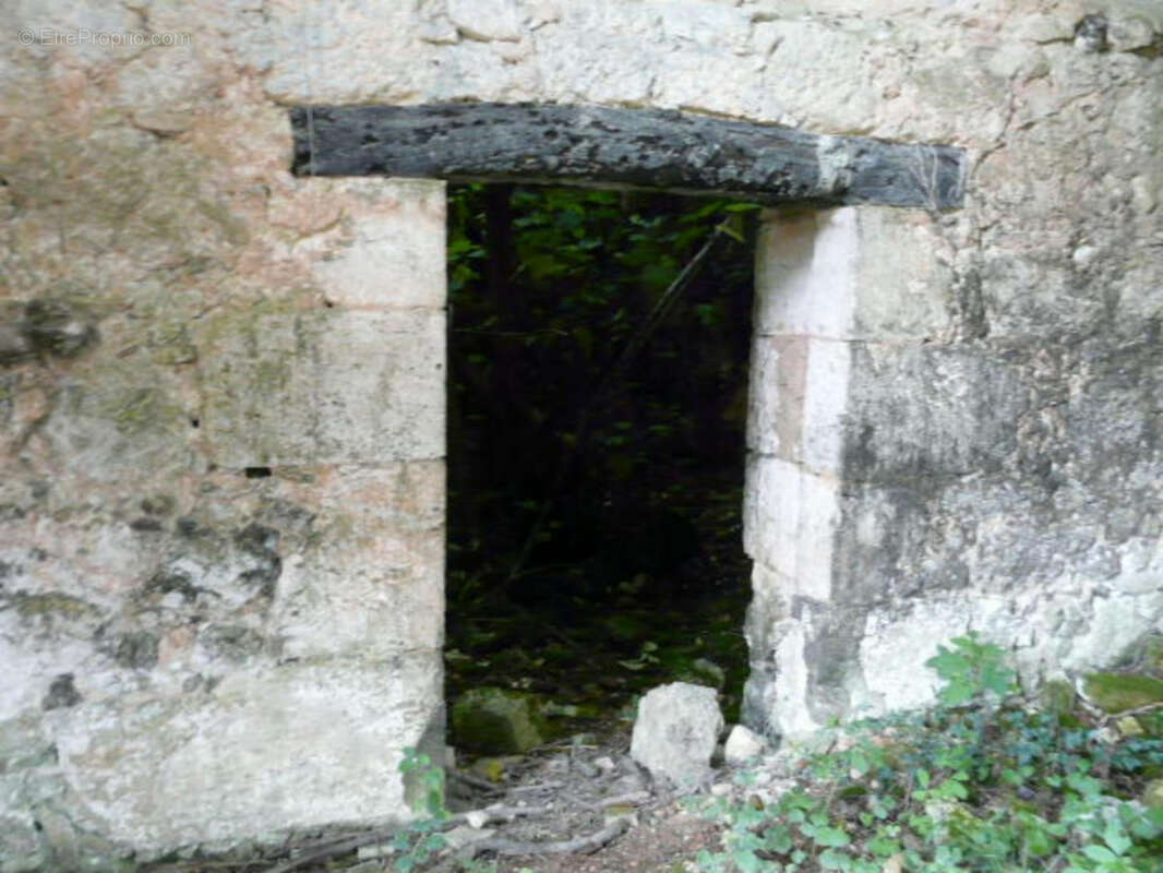 Ancienne Maison de Maître terre et bois 6 Ha - photo 17