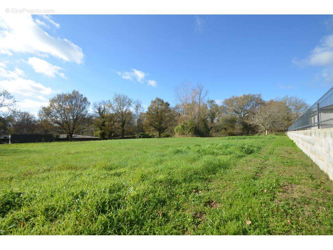 Terrain à PORCHERES