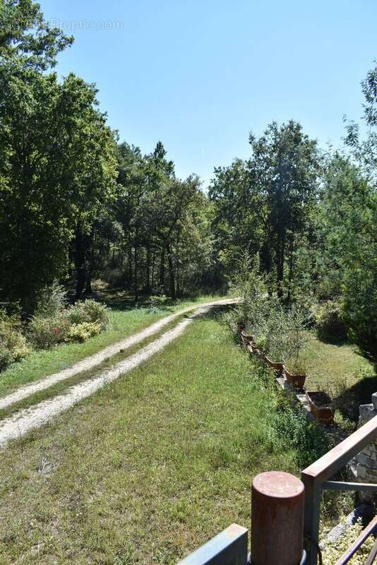 Propriété potentielle bénéficiant d'une tranquillité absolue, au sein d'un somptueux parc de 5 hectares, un véritable havre de v - photo 13