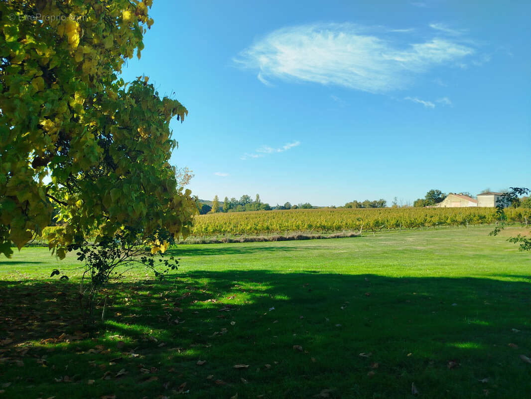 Maison à SAUVETERRE-DE-GUYENNE