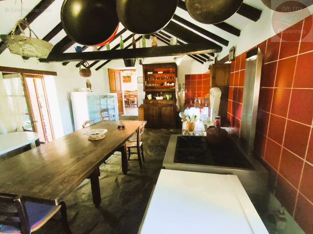 Mas cévenol - photo 8