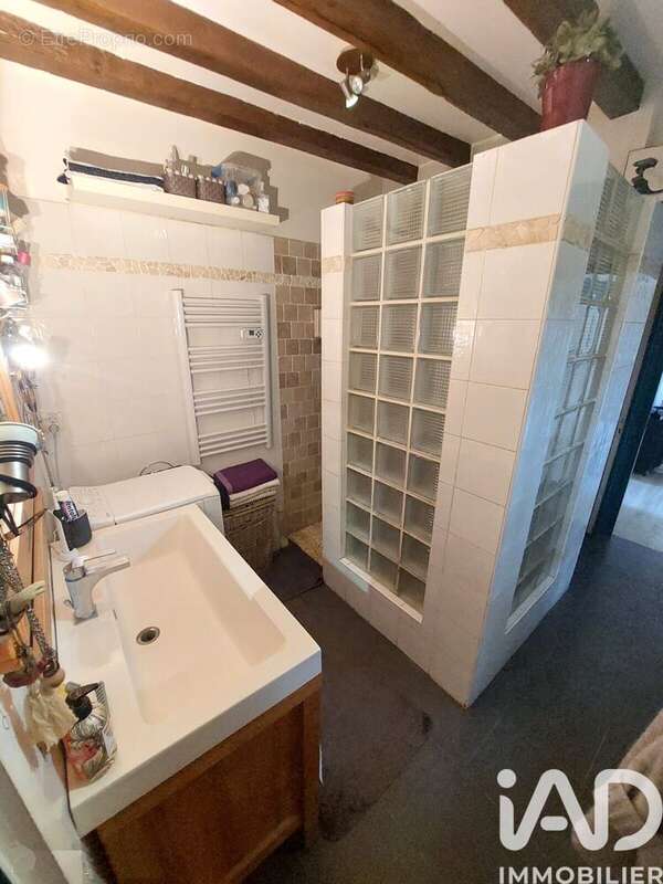 Maison 400 m² à Chavigny-Bailleul  - photo 5