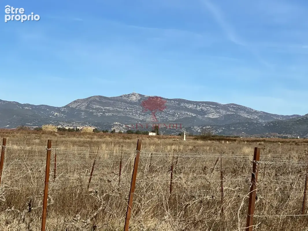 A  vendre terrain agricole de  24 831 m2 - photo 8