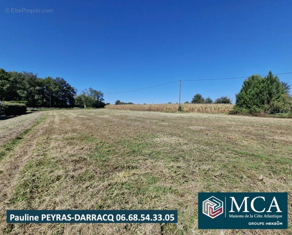 Terrain à HAGETAUBIN