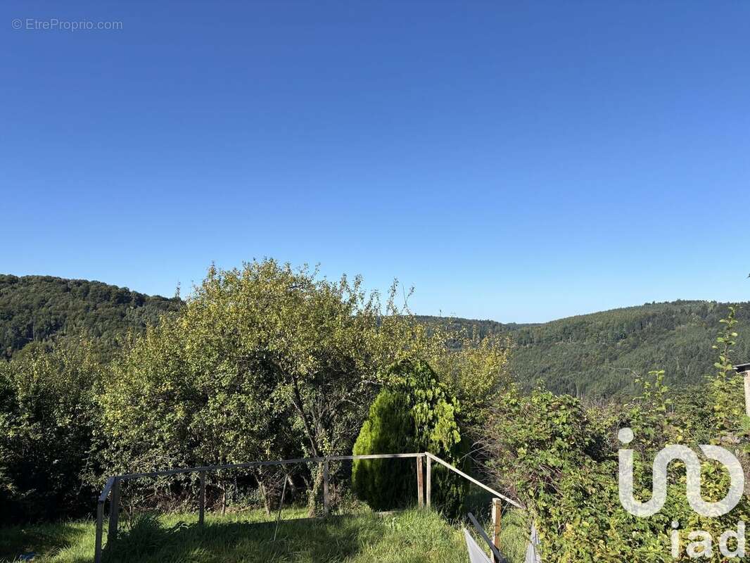 Photo 6 - Maison à HASELBOURG