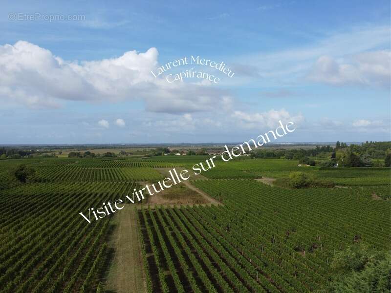 CUBZAC-LES-PONTS – Maison de 196 m² - 5 Chambres- sur terrain arboré - photo 14