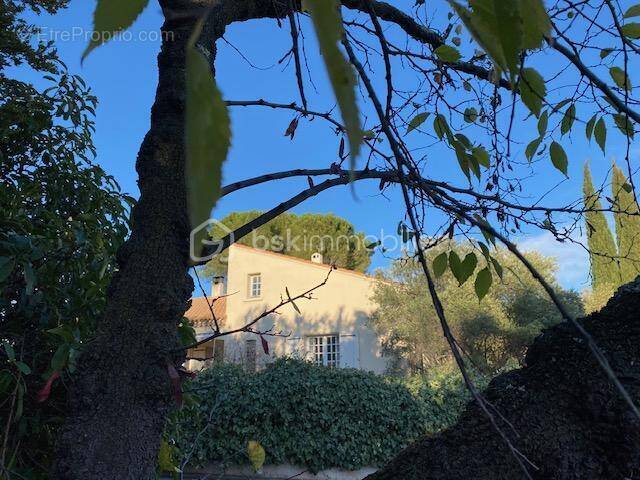 Maison à CASTELNAU-LE-LEZ