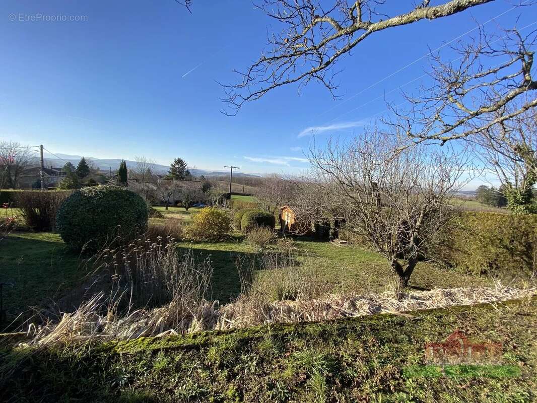 Serpaize - terrain a batir non viabilisé de 980m² - photo 2