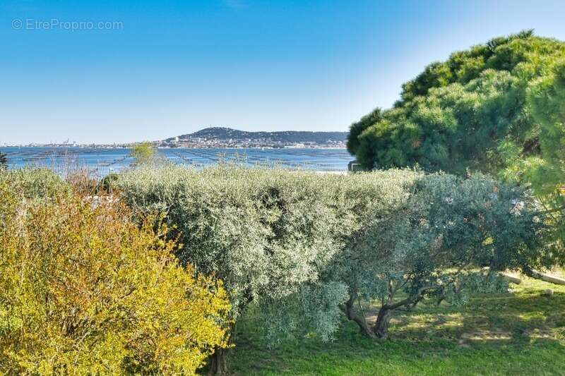 Bouzigues – Vue exceptionnelle sur le Mont Saint-Clair - photo 19