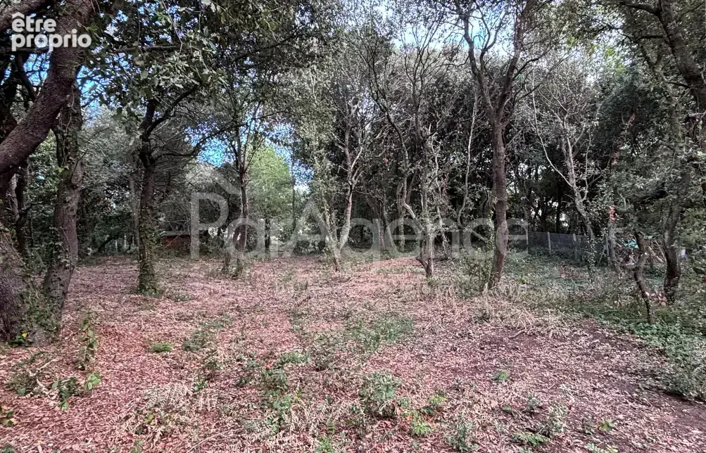 Photo Terrain à Saint-Palais-Sur-Mer au prix de 904 800€