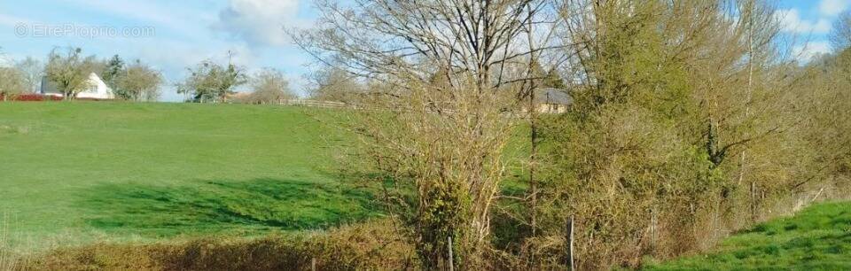 Terrain à LE MESNIL-GUILLAUME
