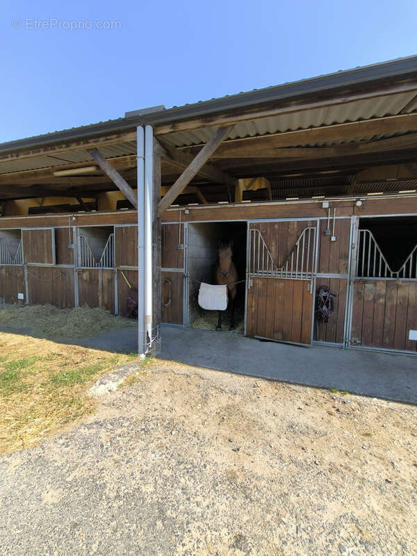 Maison à ARTANNES-SUR-INDRE
