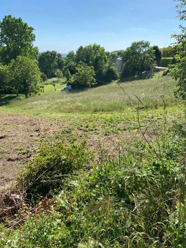 Terrain à RUELLE-SUR-TOUVRE