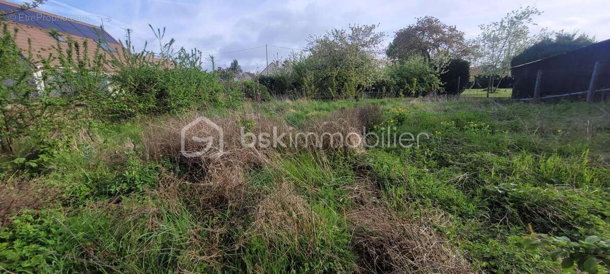 Maison à PITHIVIERS