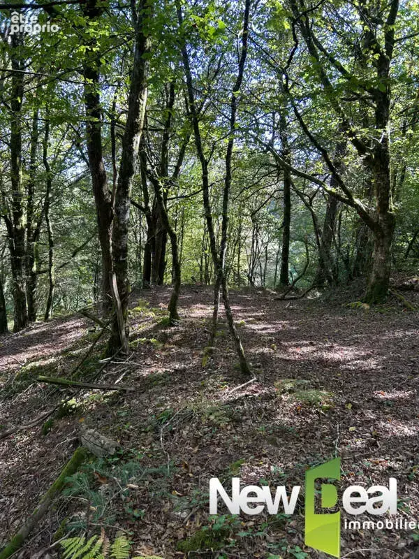 Ensemble immobilier sur env. 7,7 hectares - photo 13