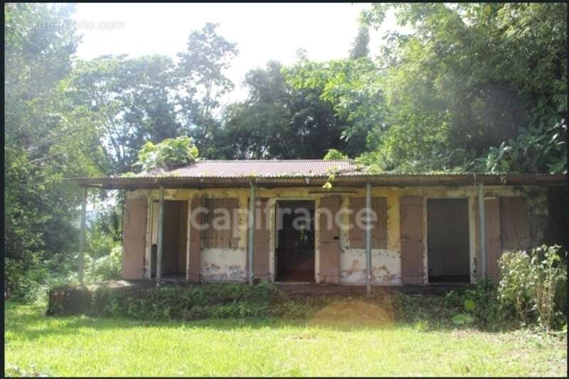 À Vendre – Grand terrain à bâtir de 6 130 m² à Ajoupa-Bouillon (Martinique) - photo 3