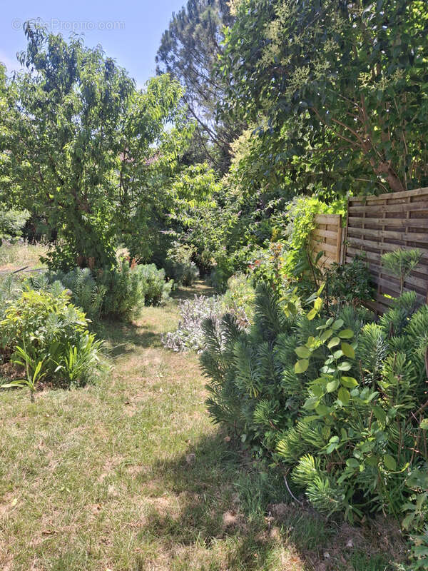 NOUVEAUTE A FOURQUEVAUX- Maison de village avec jardin - photo 23