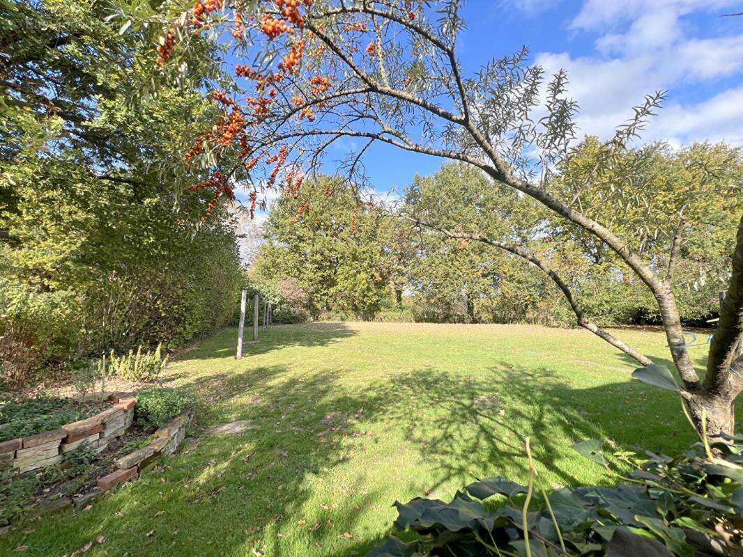 Maison à MONCE-EN-BELIN