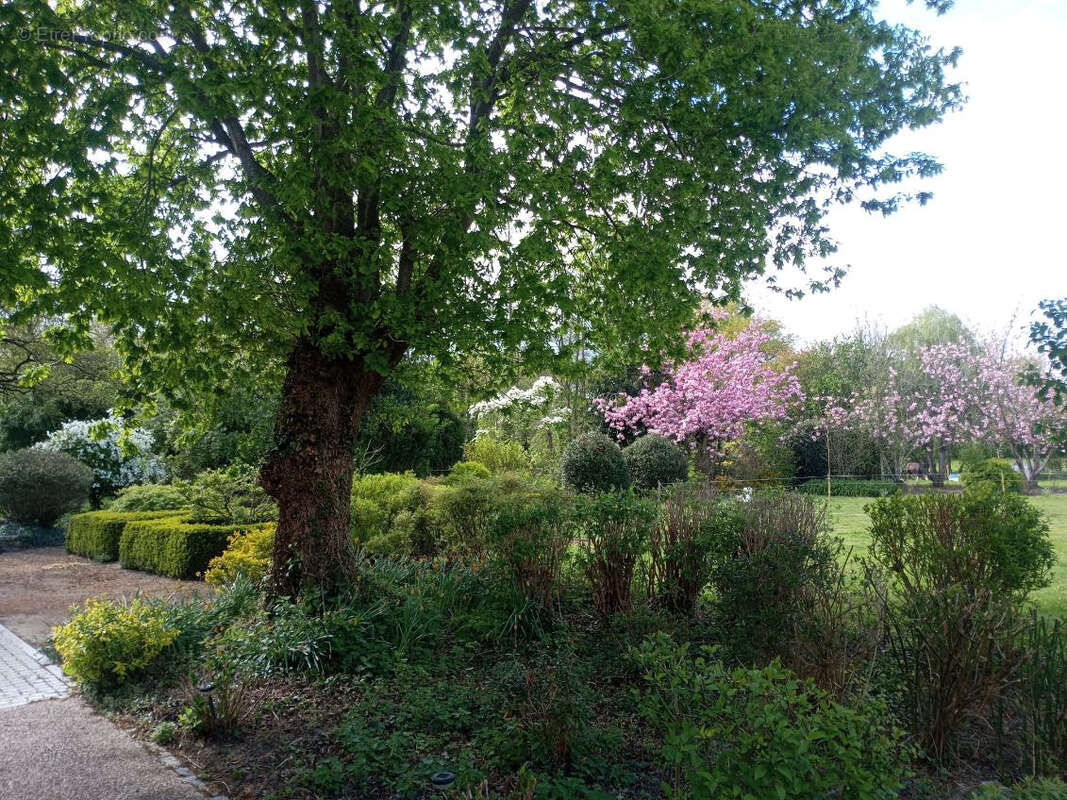 Maison à SAINT-AUBIN-DES-PREAUX