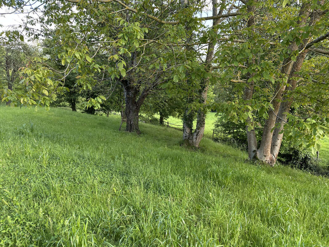 Maison à SAINT-GAUDENS