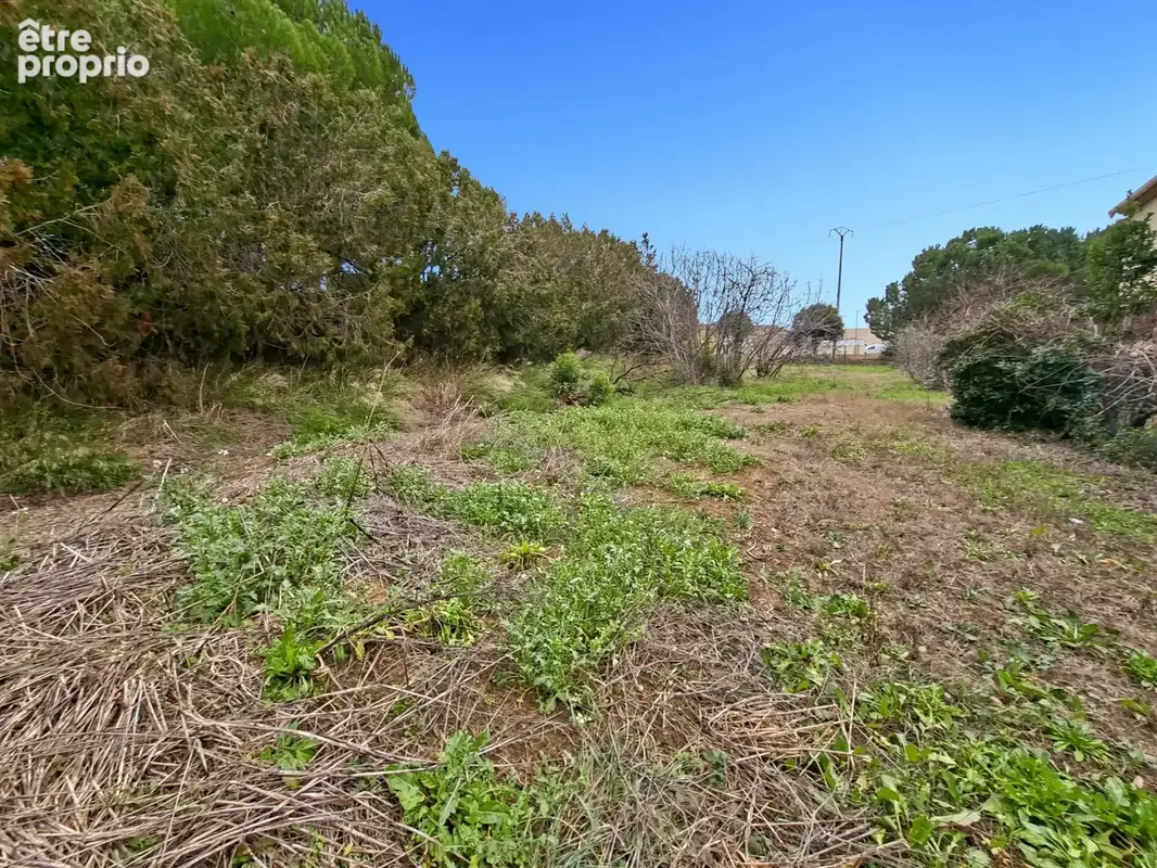 Cazouls-les-Béziers, superbe terrain constructible viabilisé de 455 m2 - photo 7