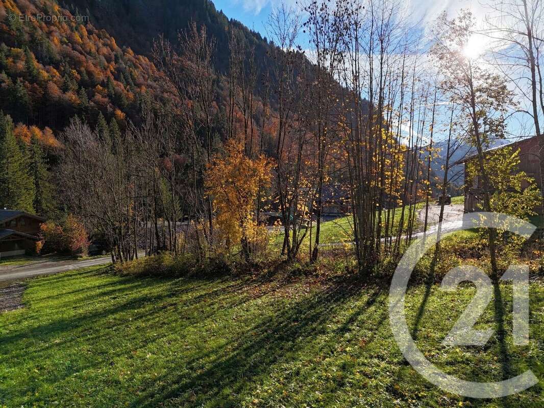 Terrain à MONTRIOND