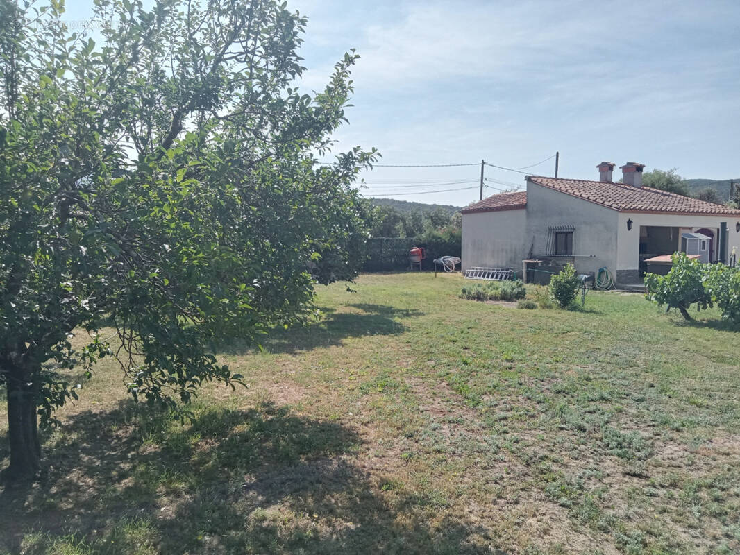 Terrain à MAUREILLAS-LAS-ILLAS