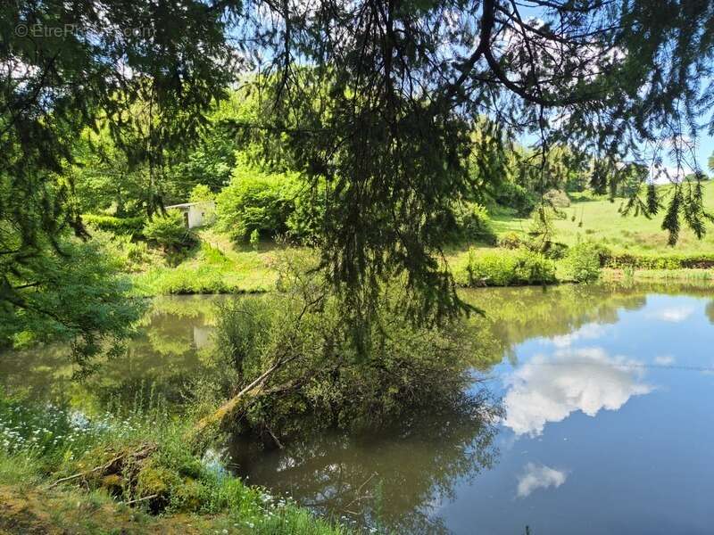 Terrain à PRESSIGNAC