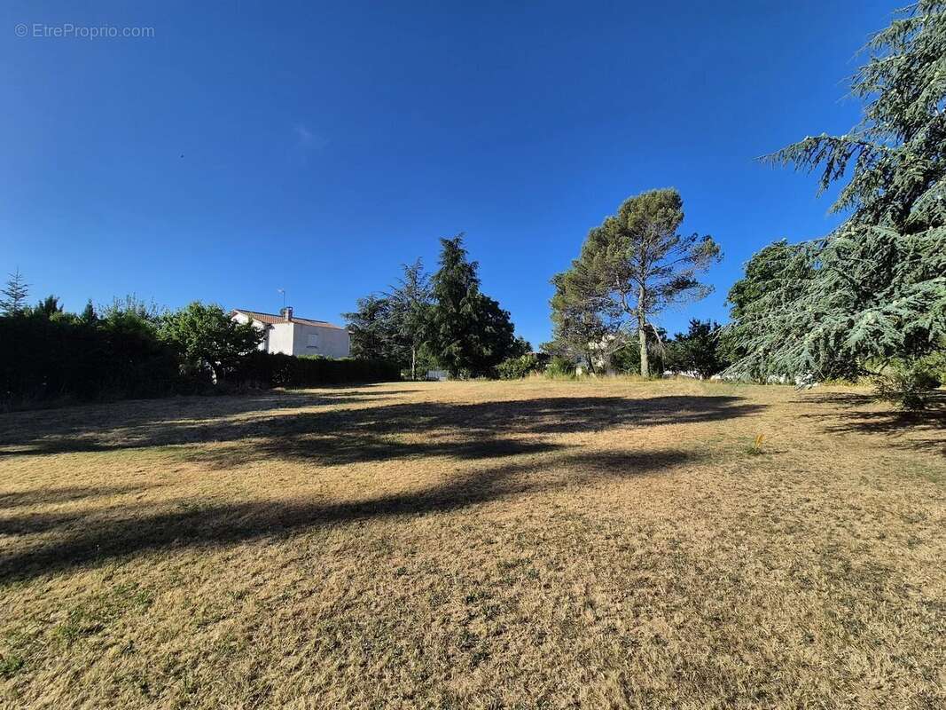 Terrain à LAVAL-PRADEL