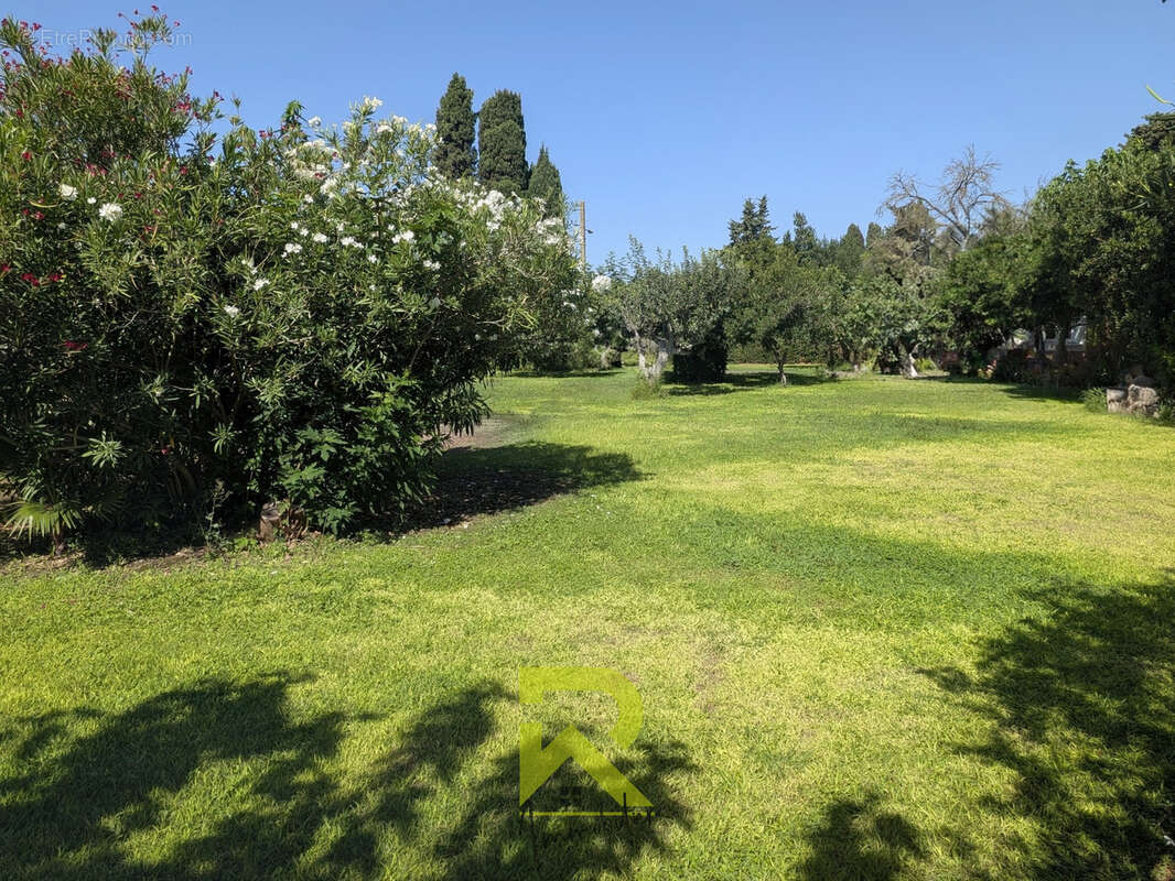 Rare sur le secteur   agde la ville magnifique terrain à bâtir  de 807m2 hors lotissement acces 2 rues - photo 4