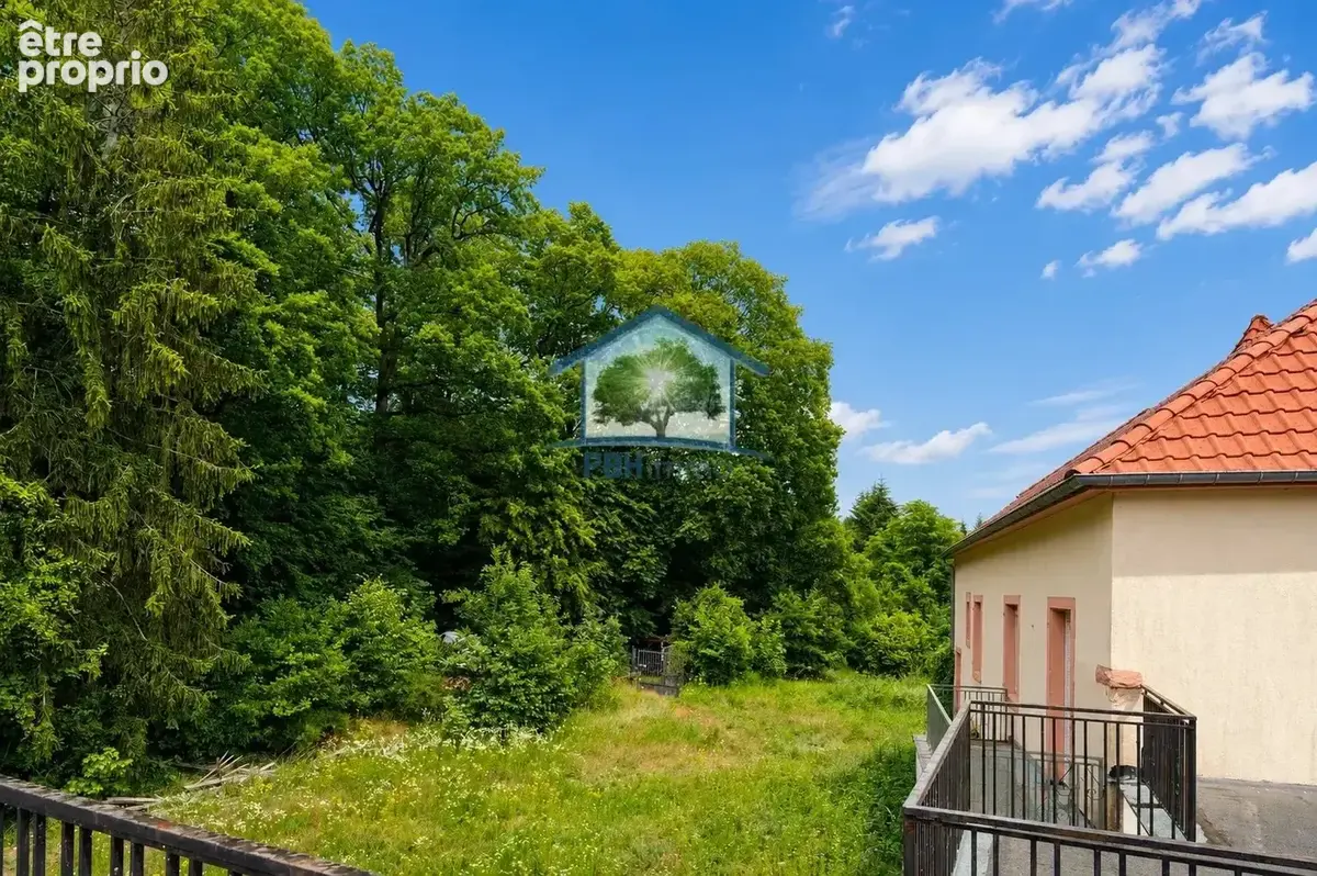 OTTERSTHAL (67) - Propriété 21 pièces 787m²  sur 50,95 ares - photo 6