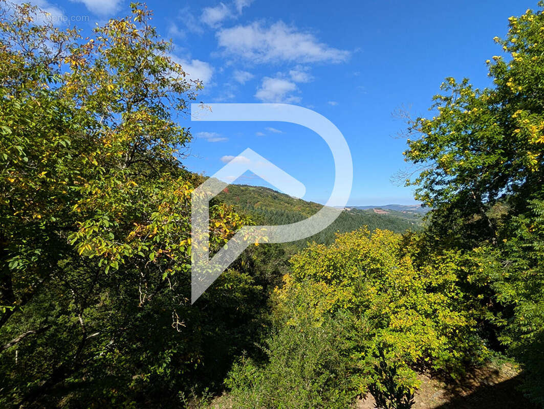 Maison à LAVAL-ROQUECEZIERE