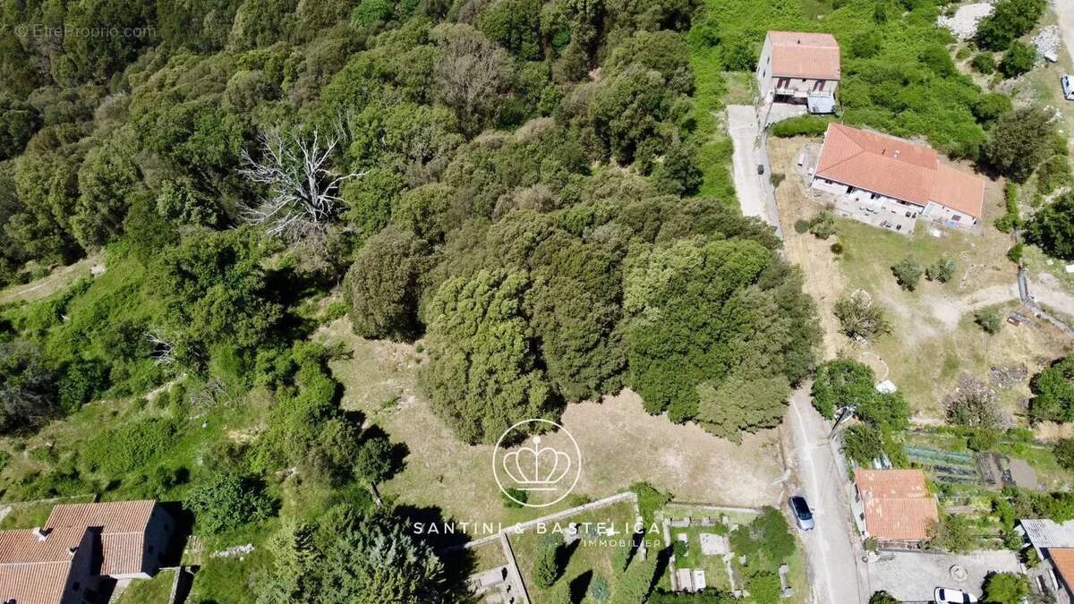 Terrain à ZICAVO