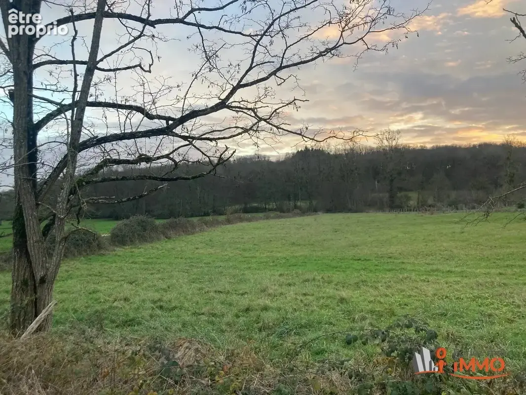 Beau de terrain de 4807m2 avec ruisseau en bordure - photo 4
