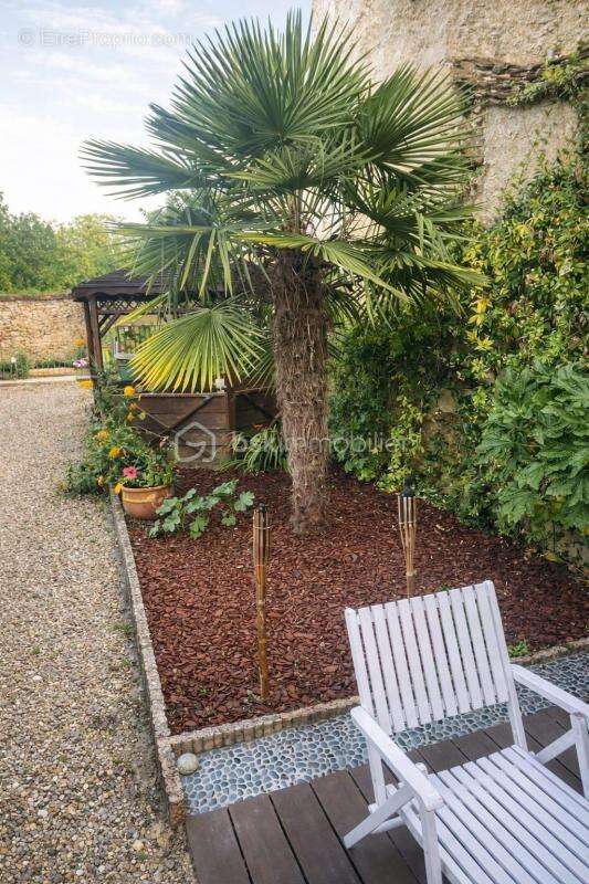 Maison familiale avec jardin, piscine et dépendance – Champigny - photo 12
