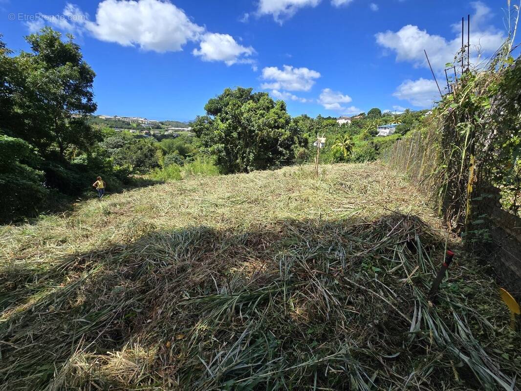 Terrain à RIVIERE-SALEE