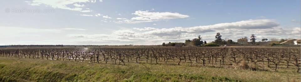 Terrain à SAINT-GERVASY