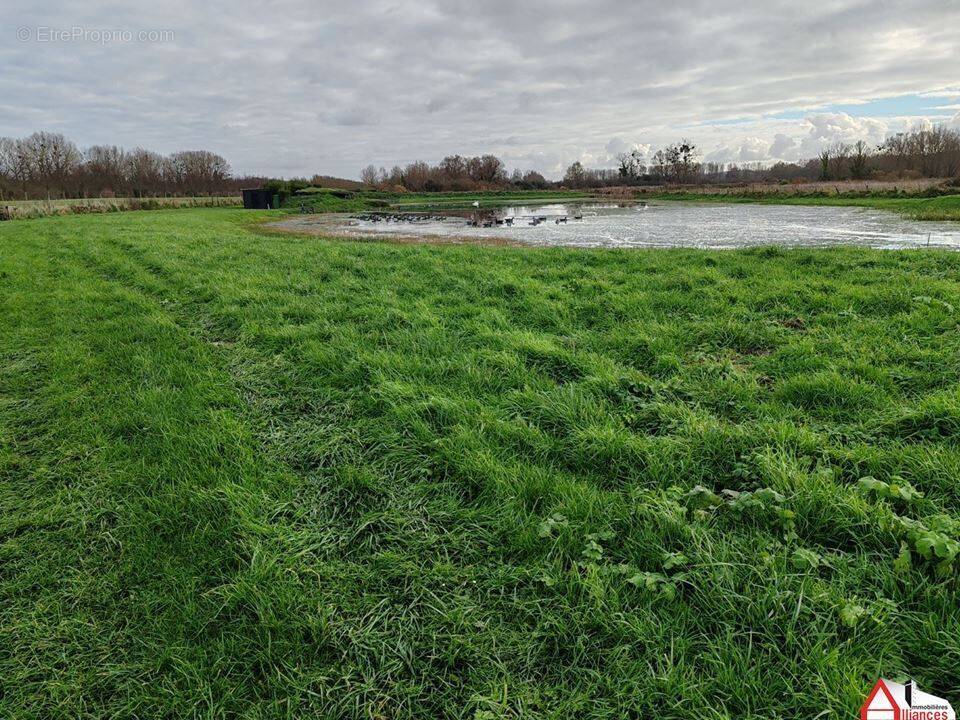 1315762 - Terrain à SAIGNEVILLE