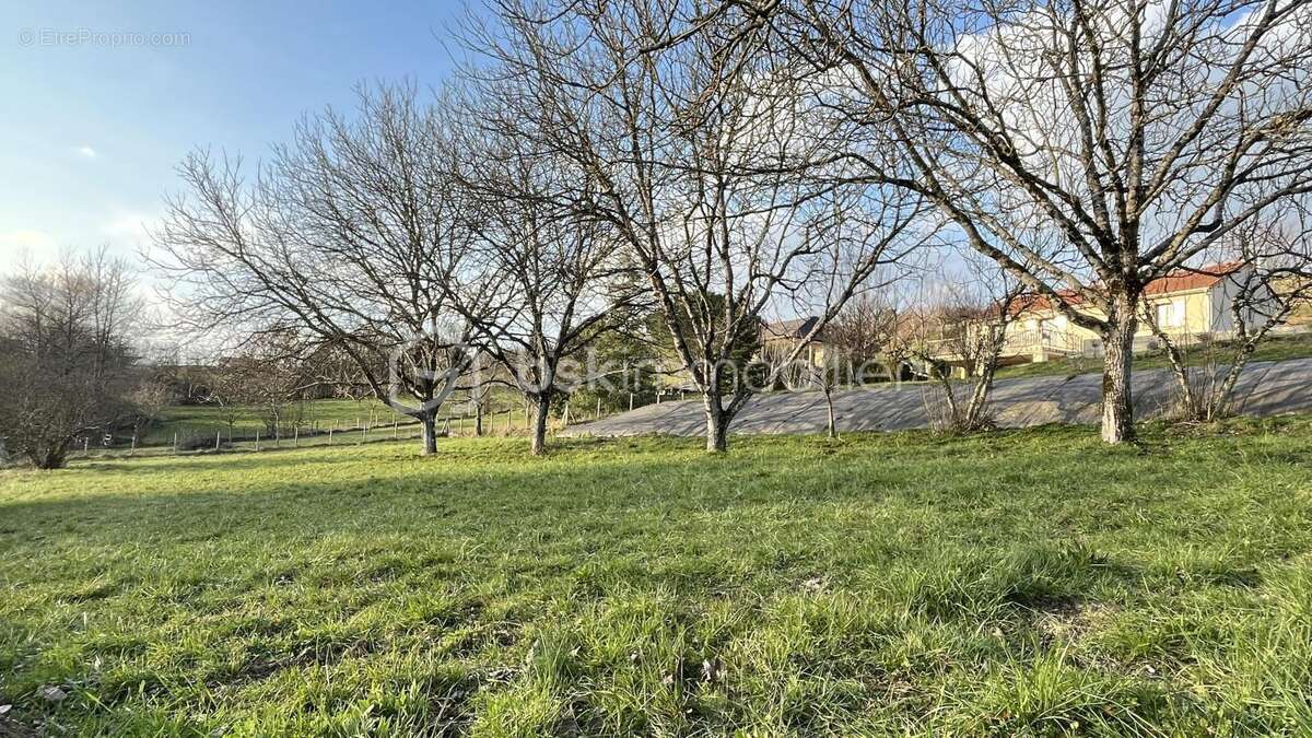  Un coin de nature pour bâtir votre projet – 3 063 m² – Peyrignac (Périgord) - photo 2
