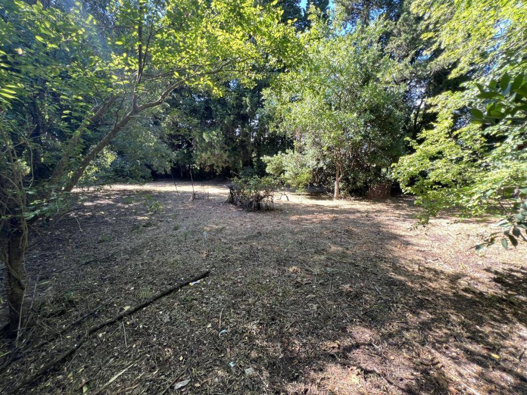 Terrain à BAGNOLS-SUR-CEZE