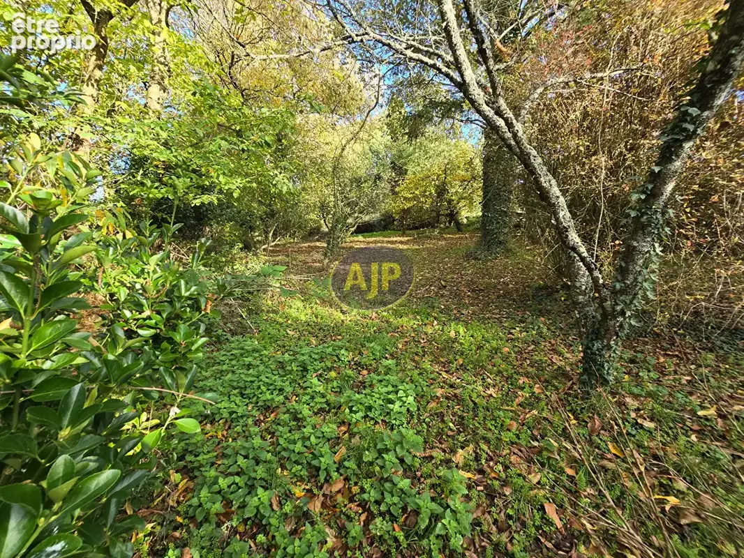 Maison secteur Beslé sur vilaine 5 pièces 101 m2 -2478 m² Terrain - photo 11