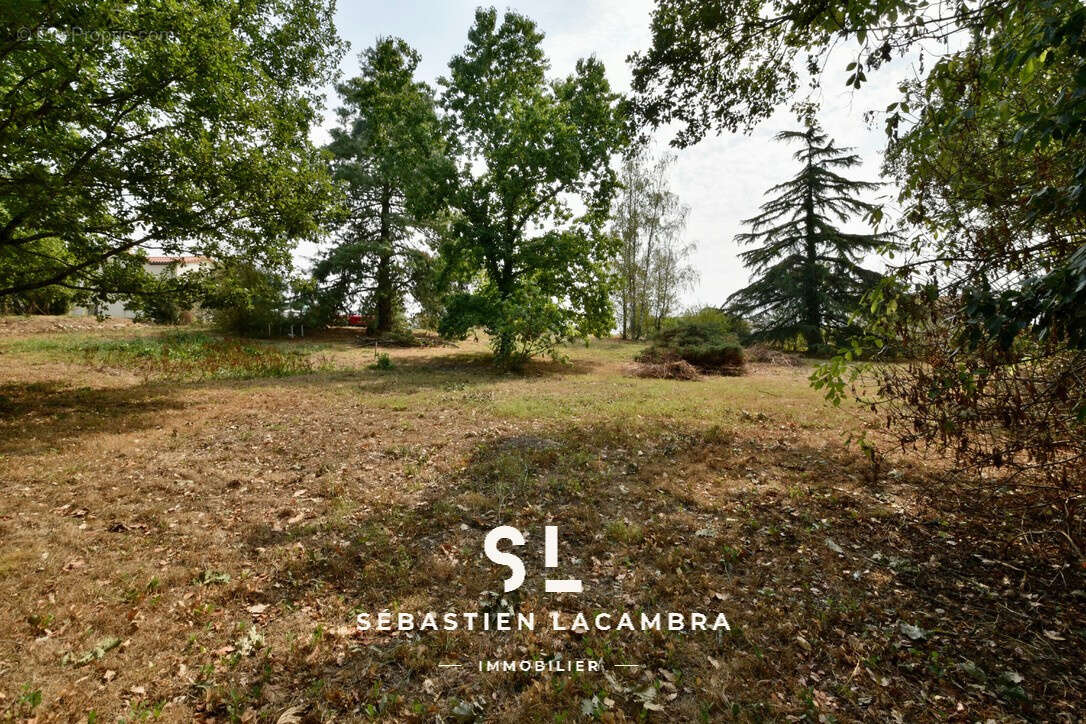 Cadalen   terrain à bâtir de 1 191 m2   un écrin de verdure sans vis-à-vis - photo 2