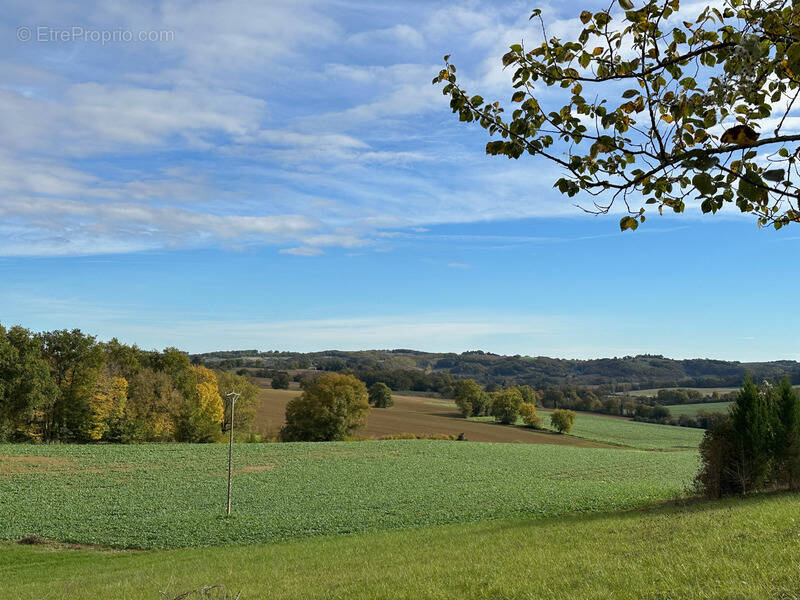 Terrain à BELMONT
