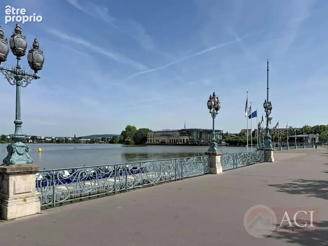 Epinay sur seine - cygne d'enghien - photo 9