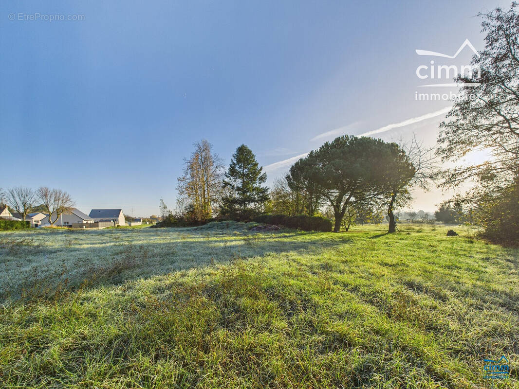 Terrain à LONGUE-JUMELLES