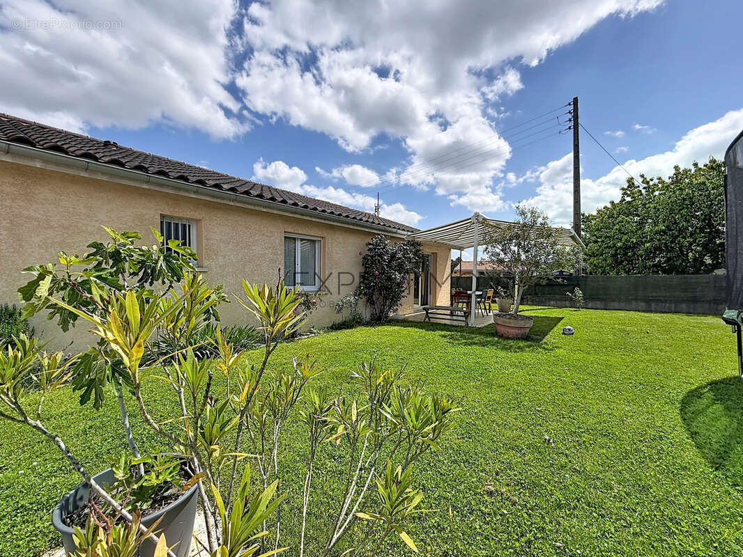 Maison à TOURNUS