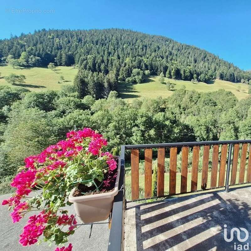 Photo 5 - Commerce à BOURG-D'OUEIL